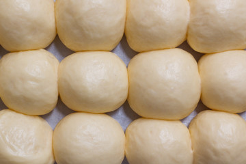 Raw bread dough in a baking tray waiting for