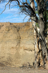 Obraz premium Sedimentary layers in Brachina Groge, Ikara-Flinders' Ranges National Park, SA, Australia