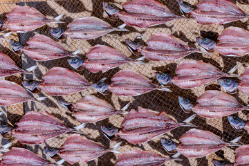 Fish dryers on the beach of Nazare in Portugal