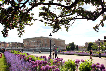 Blomrabatter på Karl XII:s torg med kungliga slottet i bakgrunden.