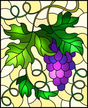 The illustration in stained glass style painting with a bunch of red grapes and leaves on a yellow background