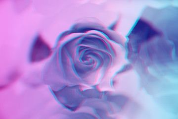 Fototapeta na wymiar Roses background with glitch effect toned in neon colors. Contemporary abstract roses texture. Trendy surreal floral backdrop. Digital signal or analog screen error. Modern design, minimal art