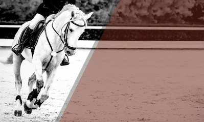 Türaufkleber Horse and rider, black and white banner or header, billboard, duo tone. Beautiful white horse portrait during Equestrian sport show jumping competition, copy space for your text. © taylon