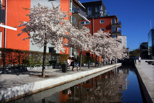 Hammarby Billeder Gennemse 558 stockfotos, vektorer og videoer