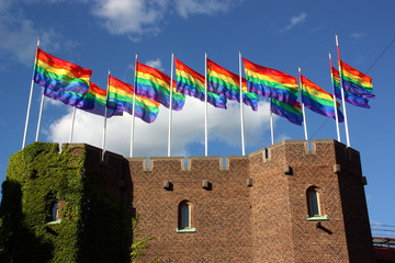 Regnbågsflaggan/Prideflaggan på Stockholms stadion © Peter