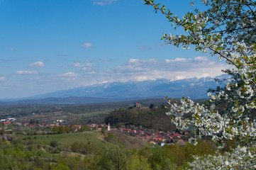 Beautiful floral image of spring nature, panoramic view