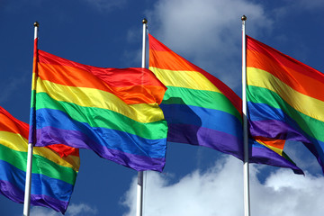 Regnbågsflaggan/Prideflaggan