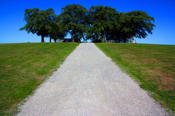 Almhöjden/Meditationslunden på Skogskyrkogården i Stockholm