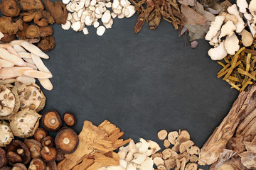 Chinese herbs used in traditional herbal medicine forming an abstract border on slate background...