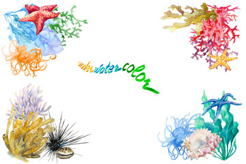 Frame of underwater reef elements, coral, sponge, urchin, anemones, starfish, seaweed, shell. Copy space. Hand drawn watercolor.