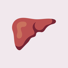 Liver Icon Flat logo Style Organs Of The Human template Design