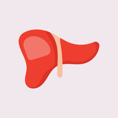 Liver Icon Flat logo Style Organs Of The Human template Design