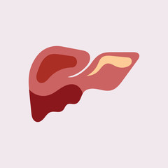 Liver Icon Flat logo Style Organs Of The Human template Design