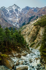 Fototapeta na wymiar Small rough stream, pine forest on its bank and snowy mountains. Around Annapurna trek, Nepal.