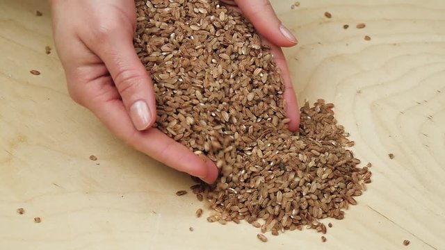 Female hands close-up holding a handful of red Uzbek rice. The figure slowly pours.
