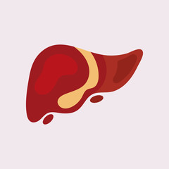 Liver Icon Flat logo Style Organs Of The Human template Design