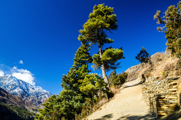 Fototapeta premium Trekking route between Upper Pisang and Ghyaru villages in sunny morning. Marshyangdi river valley, Annapurna circuit trek, Nepal.
