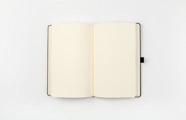 blank open notebook mockup