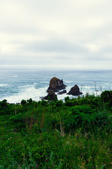The Cliff near Mendocino in California II