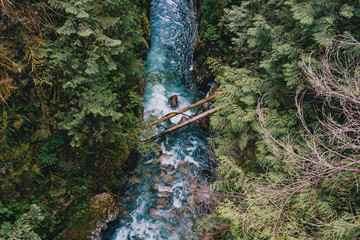 A Hiking tour in Lynn Canyon Park near Vancouver in Canada II