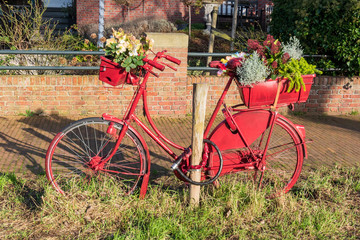Fototapeta na wymiar Creative gardening solution on bicycle