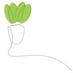 Plant in pot on white background vector illustration
