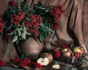 Bright red elderberry in old clay pot and apples on the table with old textile background. Still...