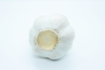 Garlic head located on a white background