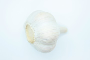 Garlic head located on a white background