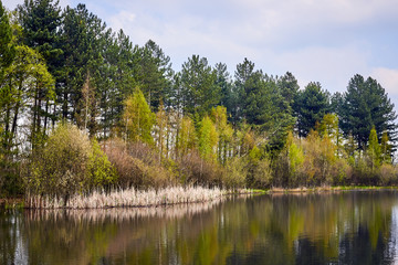 Fototapeta na wymiar Landscape of Tevener Heide Natural Park with Lake, Spring Season , Germany, North Rhine-Westphalia