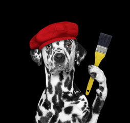 Dalmatian dog as a painter with a brush. Isolated on black
