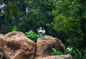 A bird in Kuala Lumpur Bird Park. Malaysia