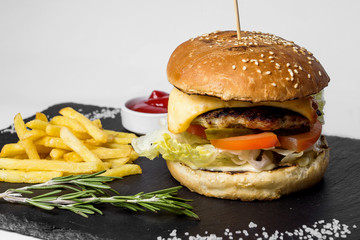 Big burger with fries and sauce