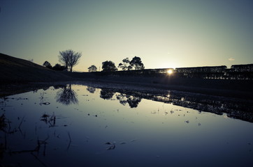 水たまりに反射する太陽