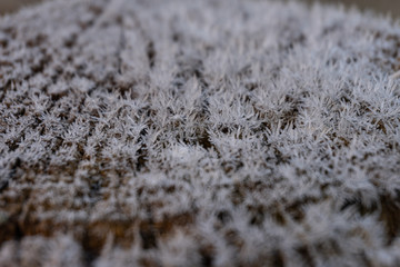 Close up of ice crystals on wood in the morning