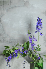 Contemporary modern interior concept. Grey cement empty wall and purple violet flower on the table. Loft style interior.