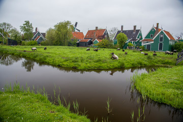 Fototapeta na wymiar Traditional architecture in Zaanse Schans - Holland Netherlands