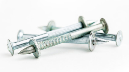 A lot of great snipe isolated on white background.