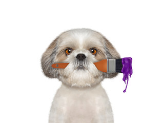 Cute dog as a painter with brush and green color. Isolated on white