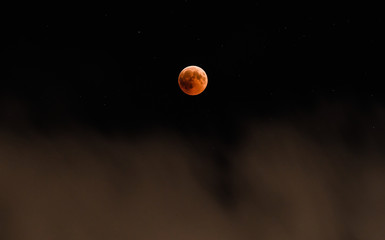 full orange eclipse moon in the night sky
