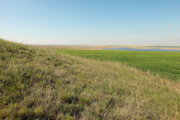 Green field of wheat in spring in Dobruja, Romania. In the back plane rape, puddles, wind power generator and sky