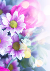 Delicate floral background with copy space under the text. Blurred background with spring flowers, bokeh. Bouquet of flowers close-up