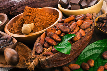 Cacao beans and powder, cacao butter and cacao nibs with chopped chocolate on a wooden background.
