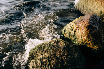 Stones on the lake in the fog. Big and small stones. The water is transparent and under the water you can see stones overgrown with silt. Copy space.