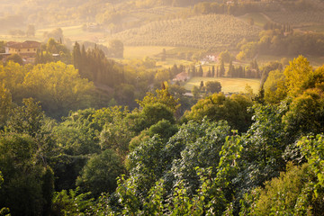 Obraz premium sunrise over a green valley at San Miniato, province of Pisa, Tuscany region, Italy