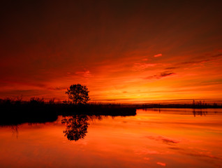 Magical sunset at National Park de Groote Peel in Limburg, the Netherlands. Protected wetlands landscape. 