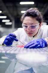 Young brunette woman laboratory assistant with petri dish in hands on blurred background