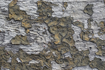 Texture of a white and gray torn scratched old wall with old flaky paint pieces