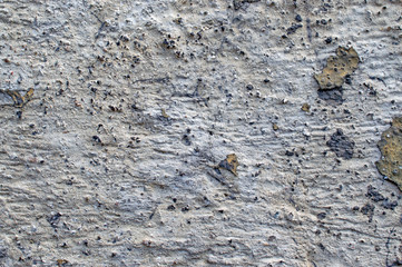 texture of white and gray scratched old scratched wall