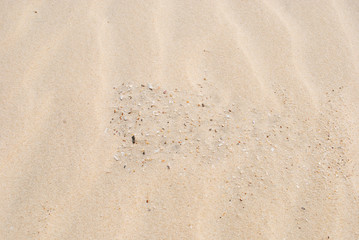 Golden Sand on the beach as background. Sand Texture. Golden sand. Background from fine sand.